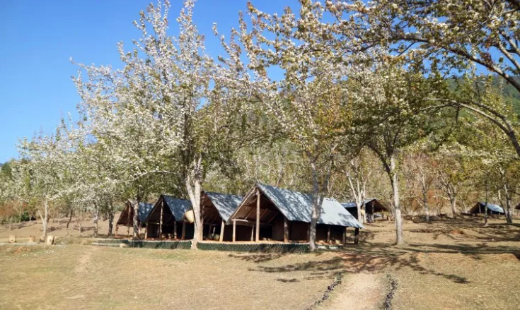 chitlang organic resort