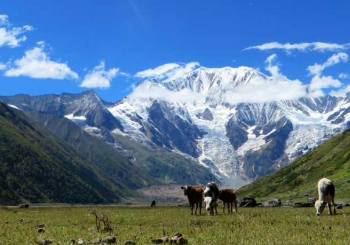 view-of-api-and-saipal