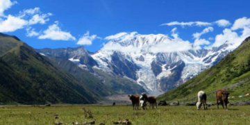 view-of-api-and-saipal